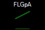 FLGpA